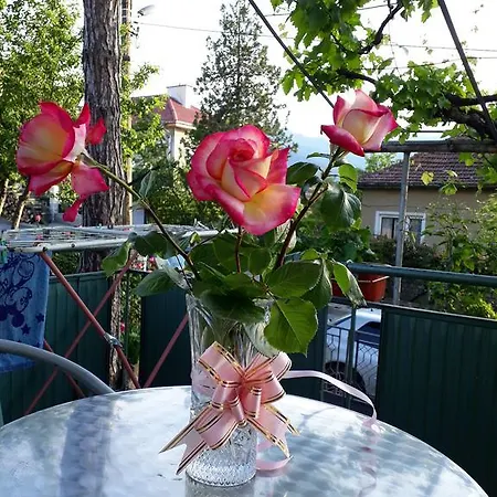 ゲストハウス йонкин *